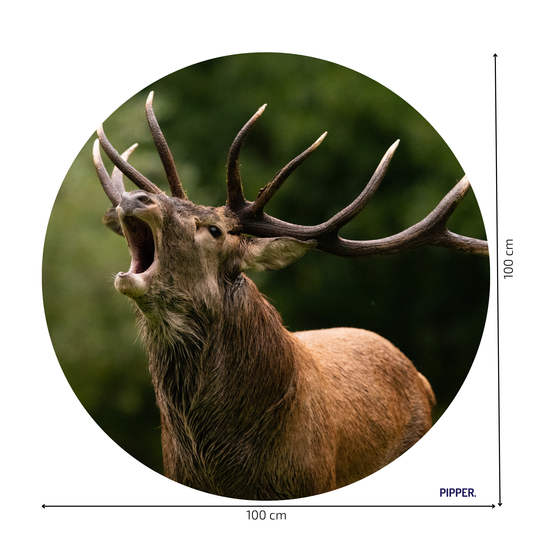 Round Wall Sticker – “Deer 2"