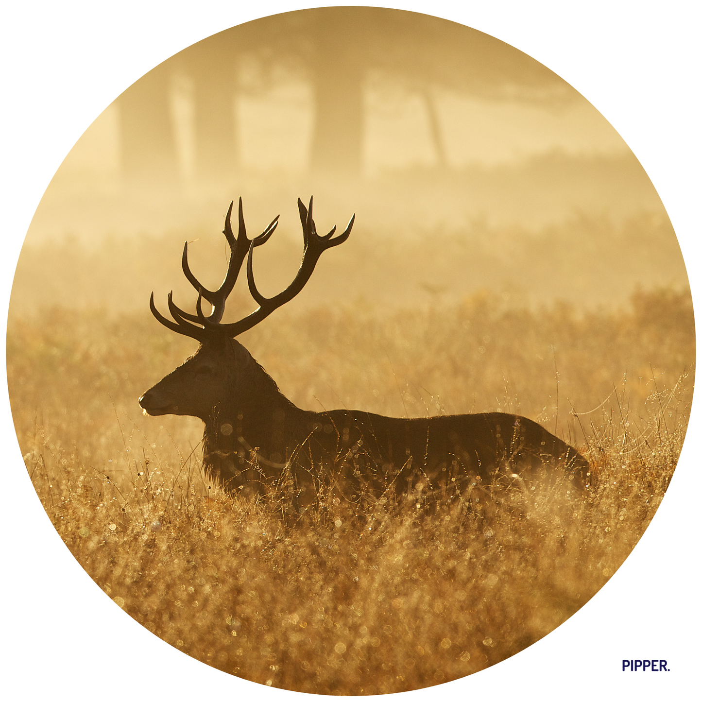 Round Wall Sticker – “Deer 3"