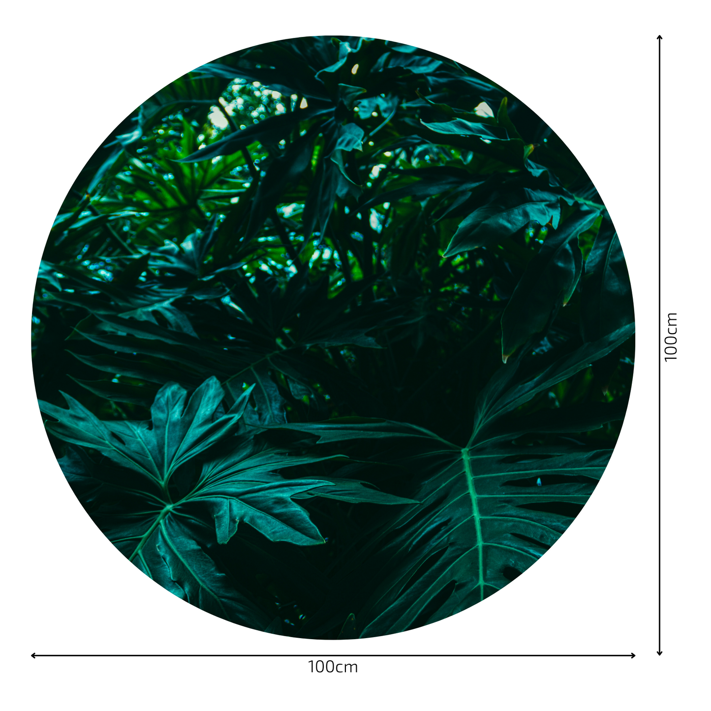Round Wall Sticker – “Dense Rainforest"