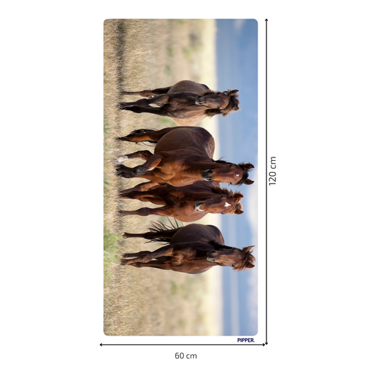 Self-Adhesive Textile Painting – Horses