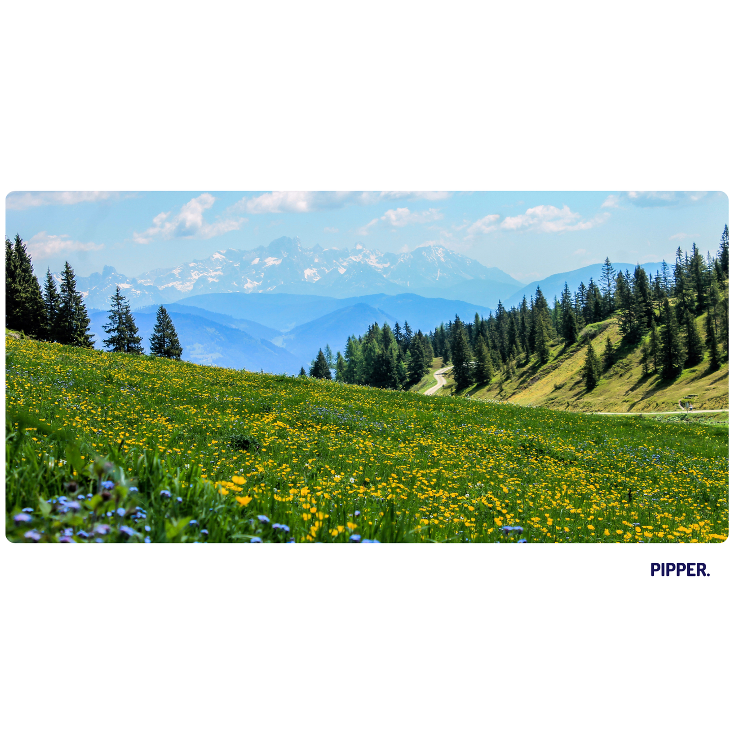 Self-Adhesive Textile Painting – Mountain Meadow