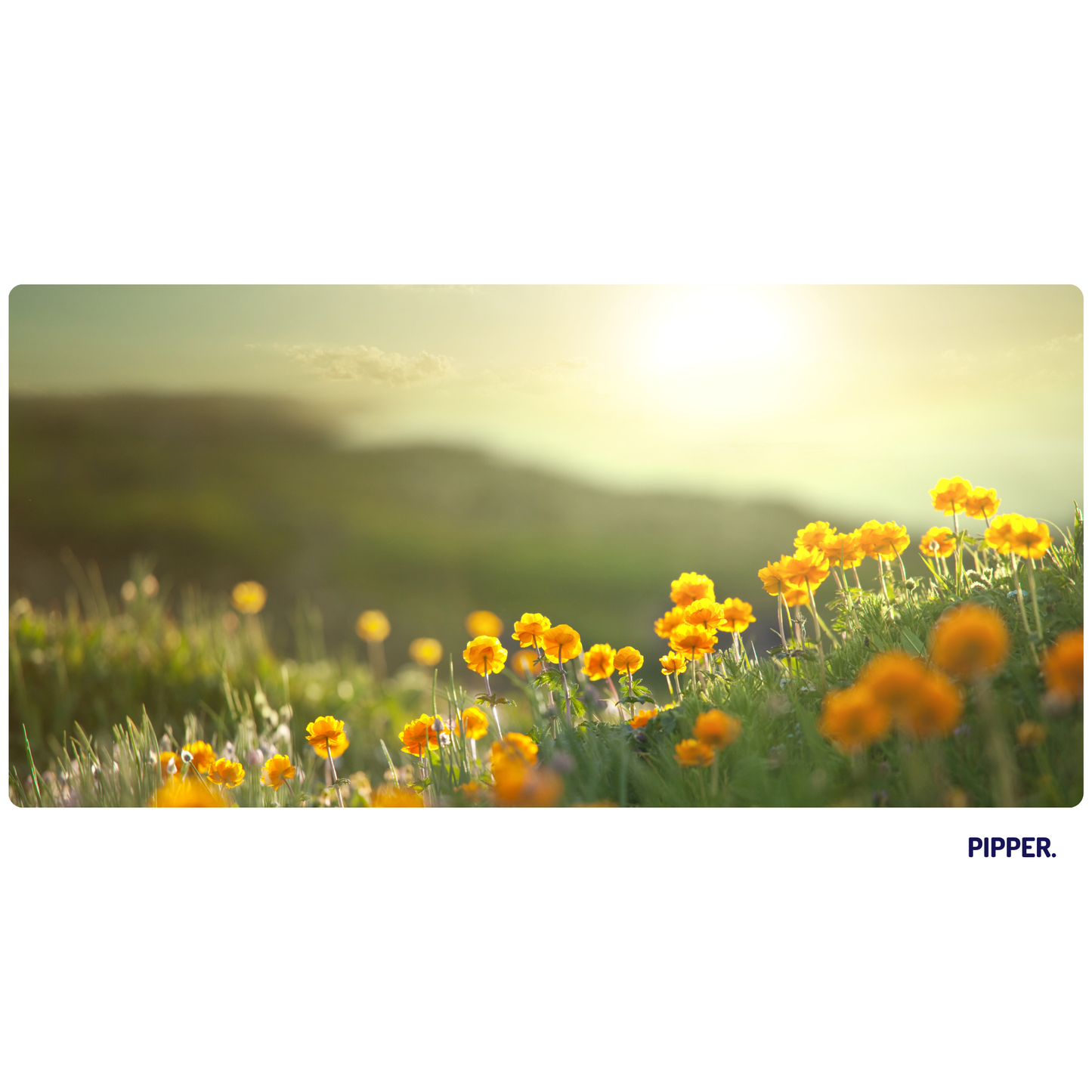 Self-Adhesive Textile Painting – Yellow Flowers in the Meadow