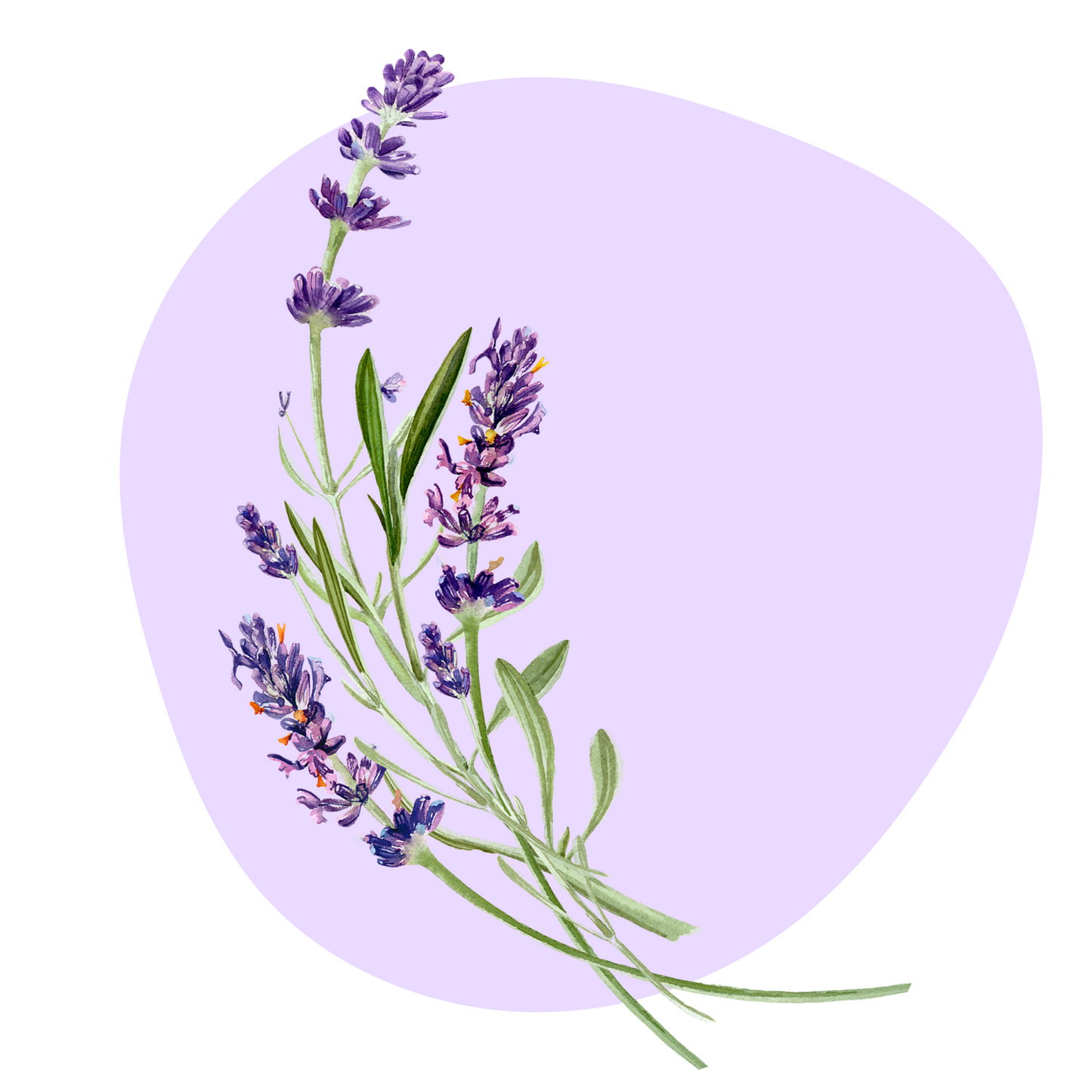 Textile Wall Sticker “Lavender”