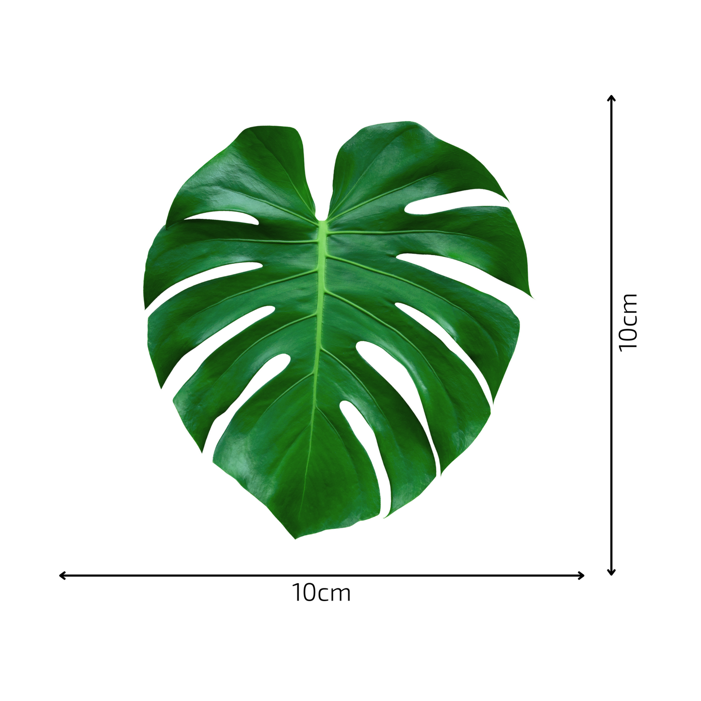 Textile Wall Sticker “Monstera Leaves 3”