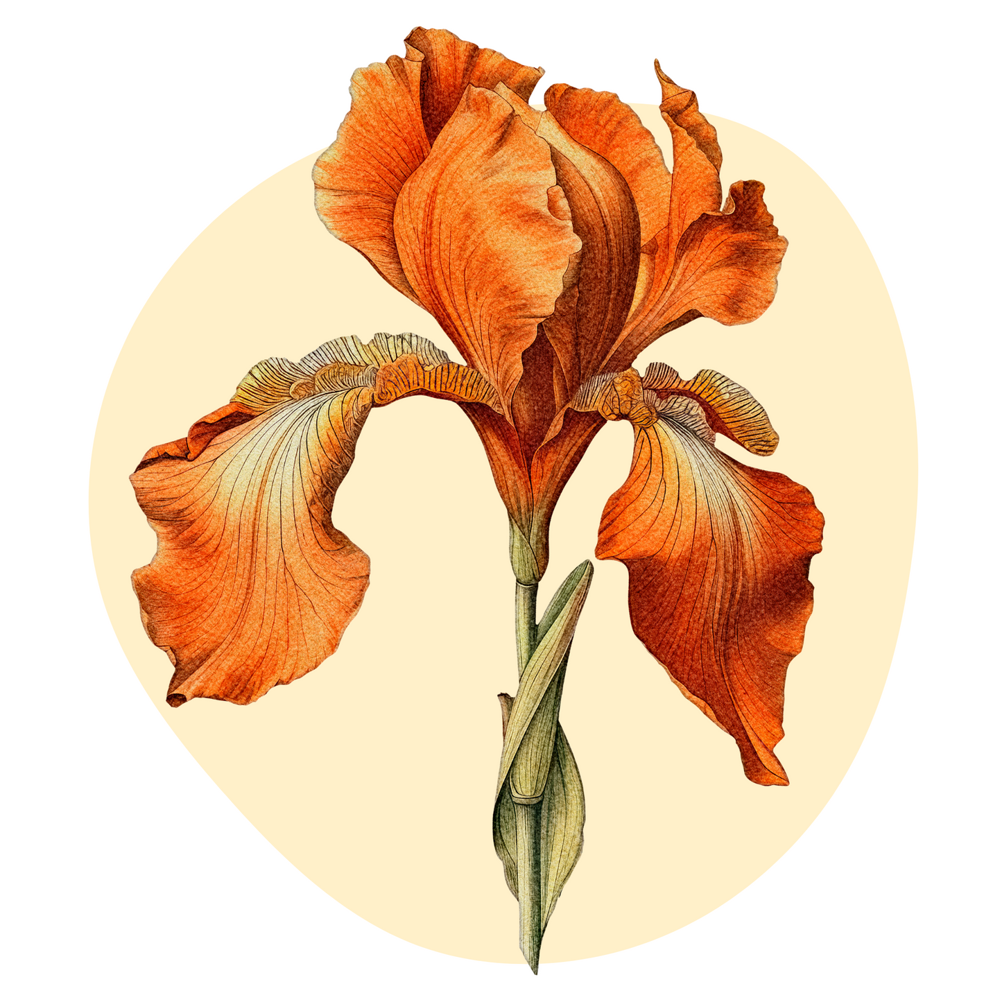 Textile Wall Sticker “Orange Iris”