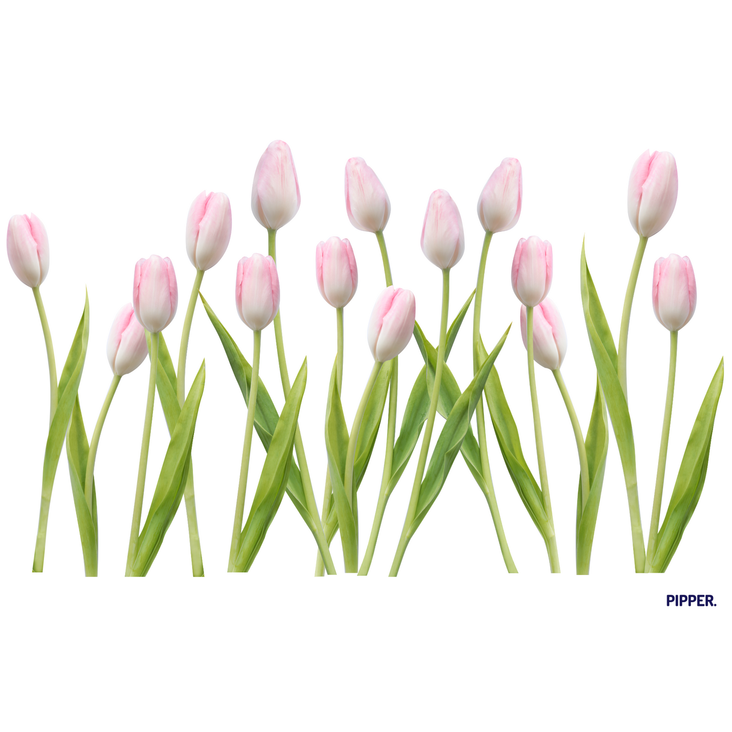 Textile Wall Sticker “Tulips”