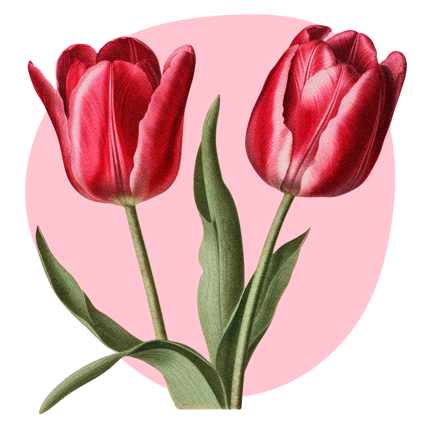 Textile Wall Sticker “Tulips”