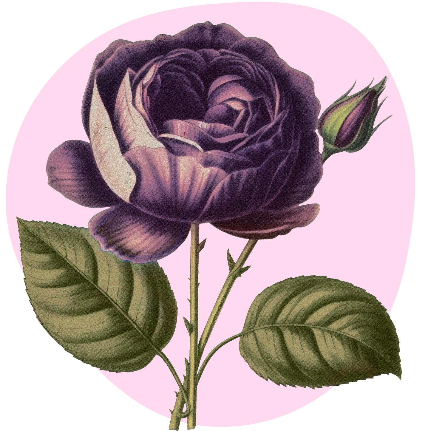 Textile Wall Sticker “Purple Rose”