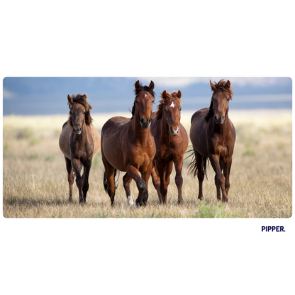 Self-Adhesive Textile Painting – Horses