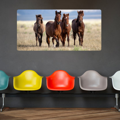 Self-Adhesive Textile Painting – Horses
