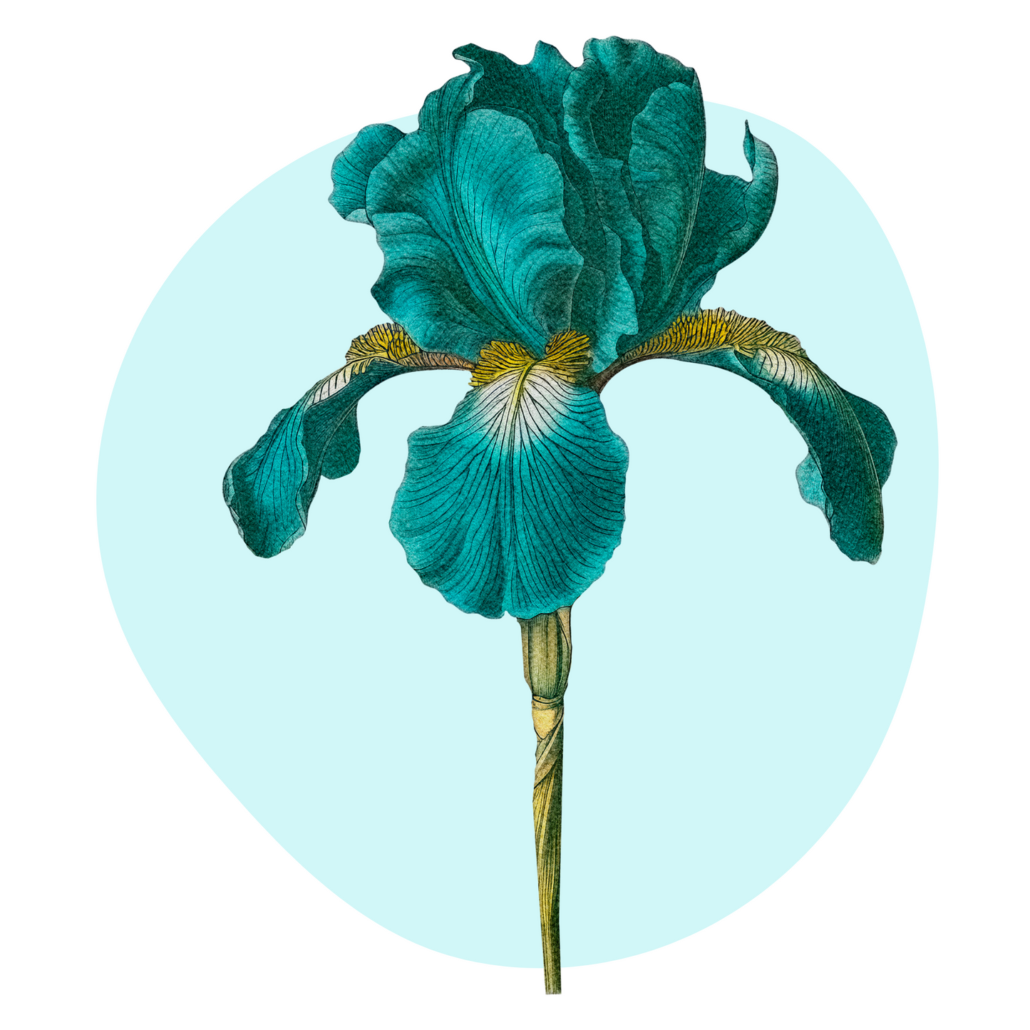 Textile Wall Sticker “Turquoise Iris”